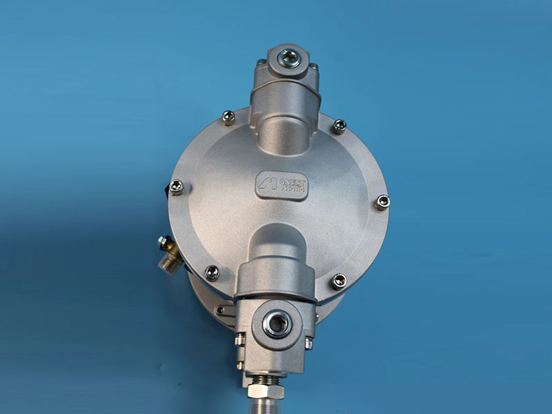 巖田不銹鋼隔膜泵 DDP-120B